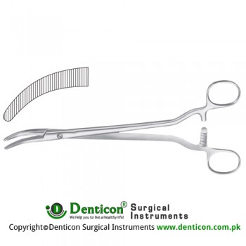 Segond Hysterectomy Forcep Curved Stainless Steel, 24 cm - 9 1/2"